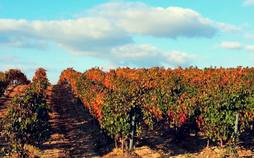 La Rioja, Spain